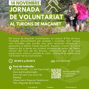 Jornada de voluntariat als Turons de Maçanet de la Selva (Fundació Emys)